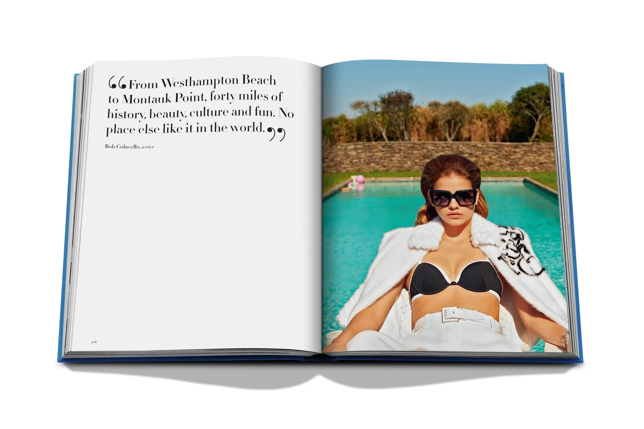 ASSOULINE Hamptons Private Hardcover Book by Dan Rattiner