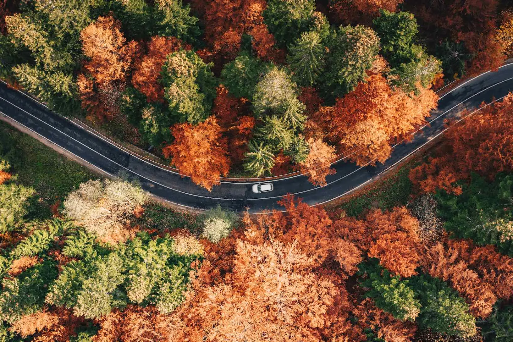 Autumn Drive