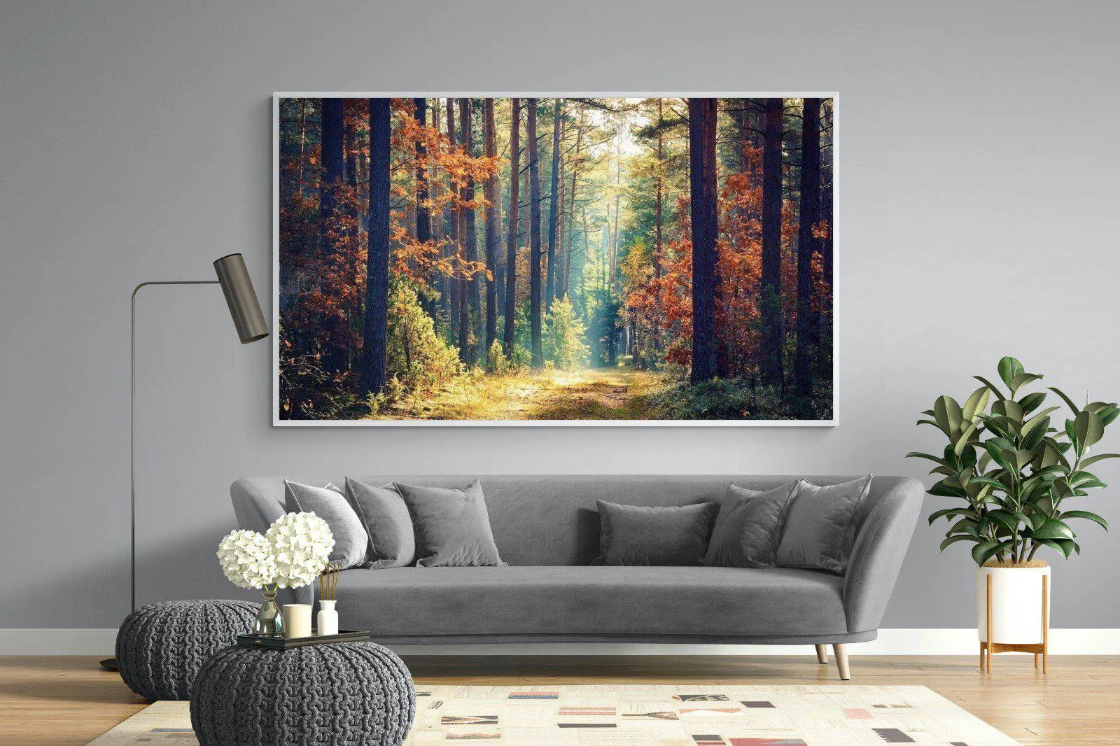 Autumn Forest