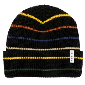 Autumn Multi Stripe Youth Beanie 2024