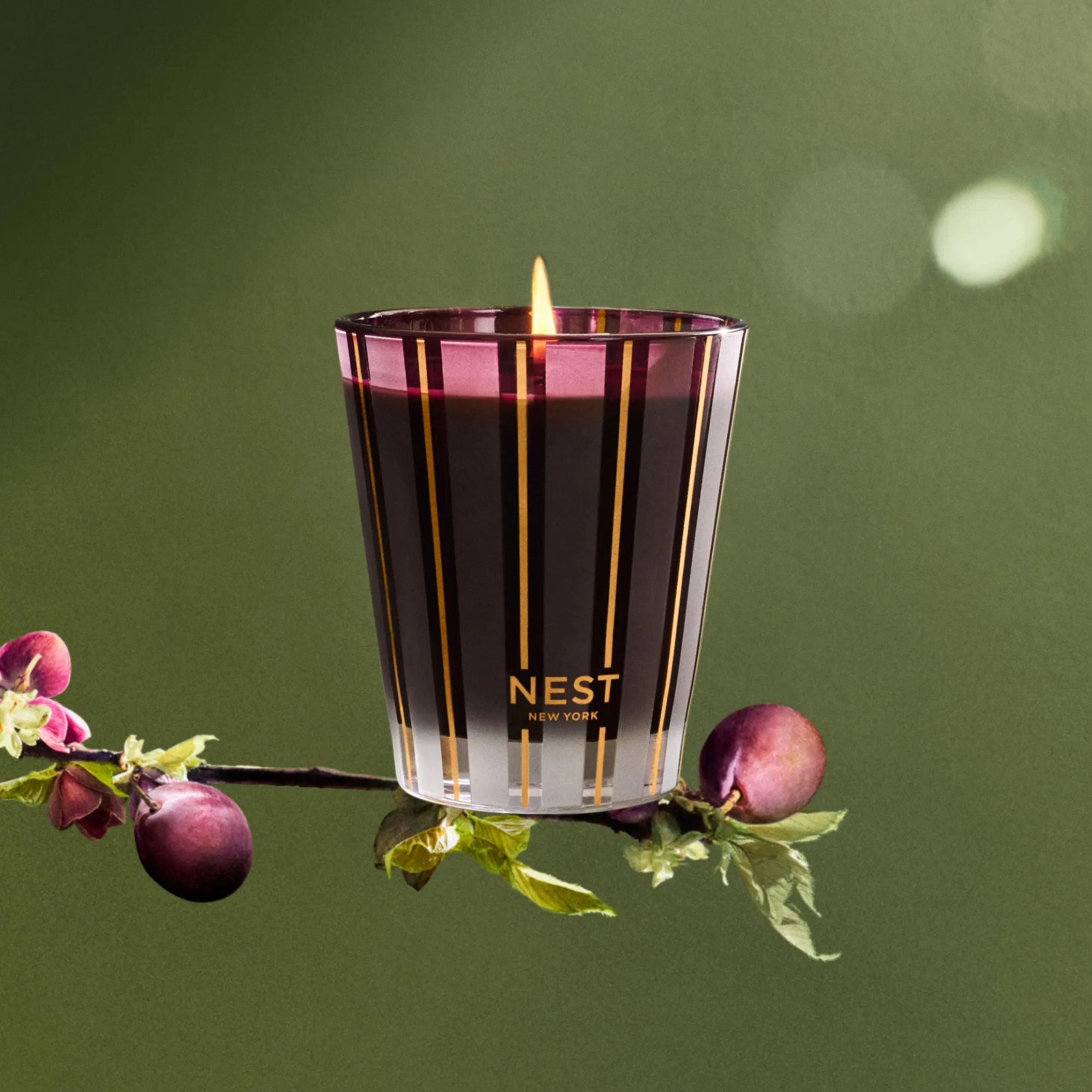 Autumn Plum Candle