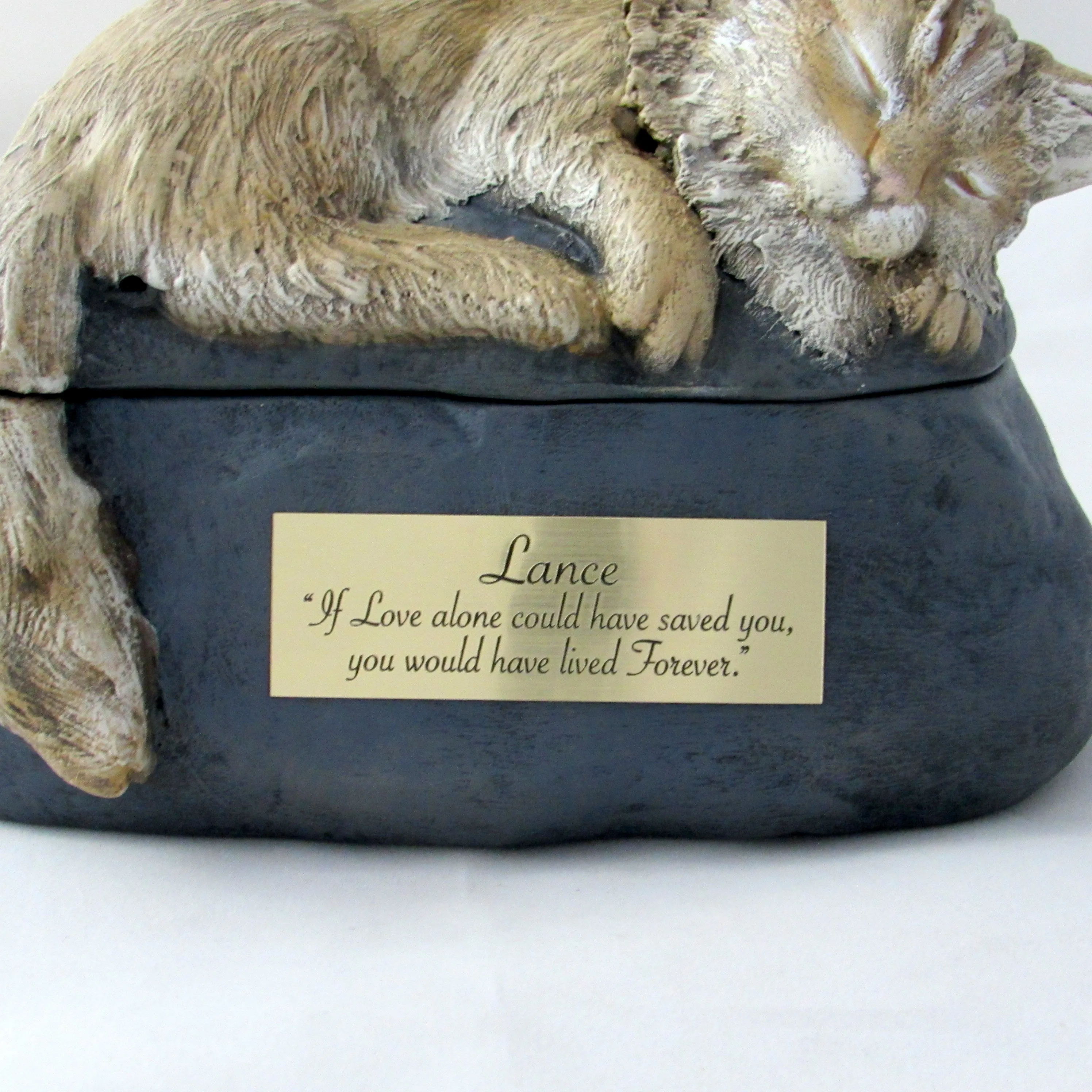 Long Haired Custom Painted Ceramic Cat Urn